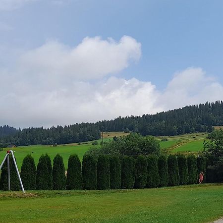 Pokoje Goscinne Budzowie Czarna Góra Екстериор снимка